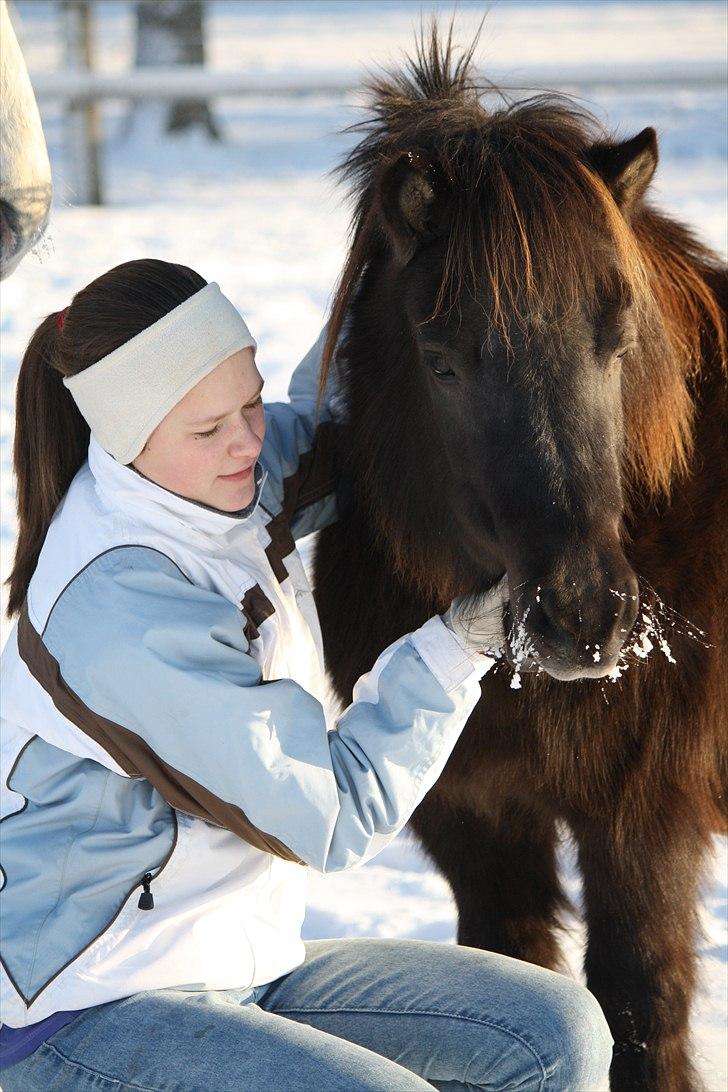 Shetlænder Lise - mig og Lise Foto : mor billede 12