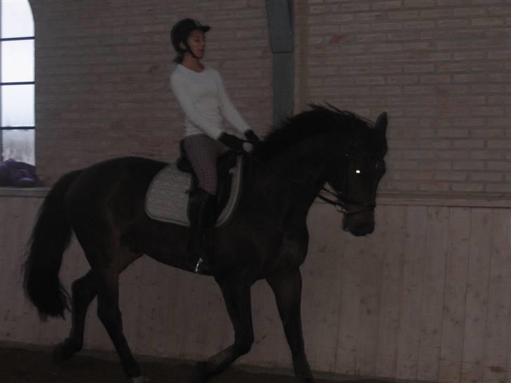 Holstener Dominique- *RIP* - Rider i Lailas ridehus en dag i december 2007 billede 13