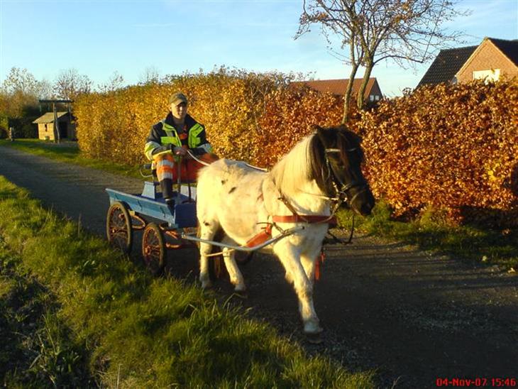 {{currentPhoto.altText}} billede {{currentPhoto.number}}