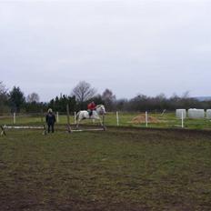 Anden særlig race Penelope *SOLGT*