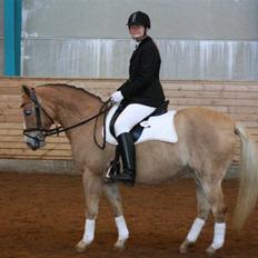 Anden særlig race  Miss Jade  SOLGT