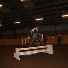 Anden særlig race Kvistgaardens Mr. Unique.