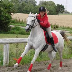 Anden særlig race Juwel | SOLGT|