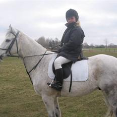 Anden særlig race Triton