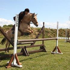 Anden særlig race Mille - B-pony - SOLGT ;/