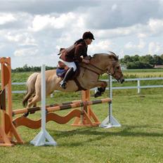 Anden særlig race Mille - B-pony - SOLGT ;/