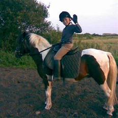 Anden særlig race Dixie R.I.P.