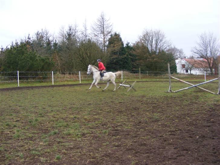 Anden særlig race Penelope *SOLGT* - Penelope og jeg en uge før jeg købte hende. efter et lille spring. billede 2