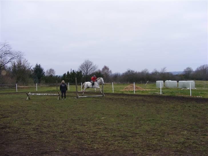 Anden særlig race Penelope *SOLGT* - Penelope og jeg over et spring på ca. 60 cm. billede 3