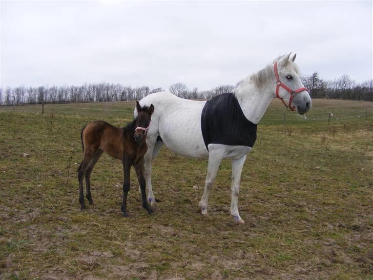 Anden særlig race Penelope *SOLGT* - Penelope min lille skath..<3 billede 7