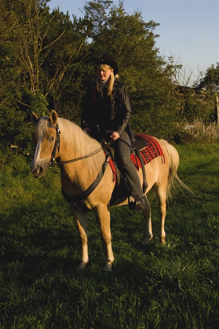 Anden særlig race  Miss Jade  SOLGT - Vi elsker western og dette er min nye western sadel, trense og fortøj. billede 7