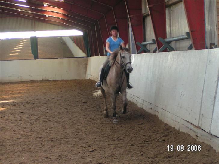 Anden særlig race Shadow R.I.P - Hvor er han søød:) billede 20