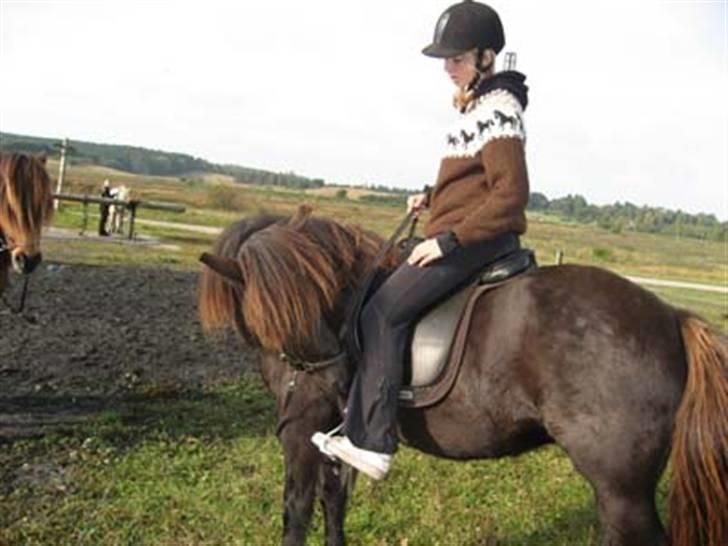 Islænder Glossa fra Mellemholm  - Undervisning med min lærer Lærke - vi øver "one rein stop" ! :) billede 7