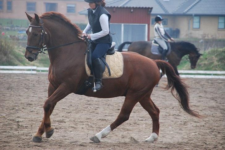 Oldenborg Alextho [Mors] - Mor og Alextho, undervinsing 26/4 2010 billede 11