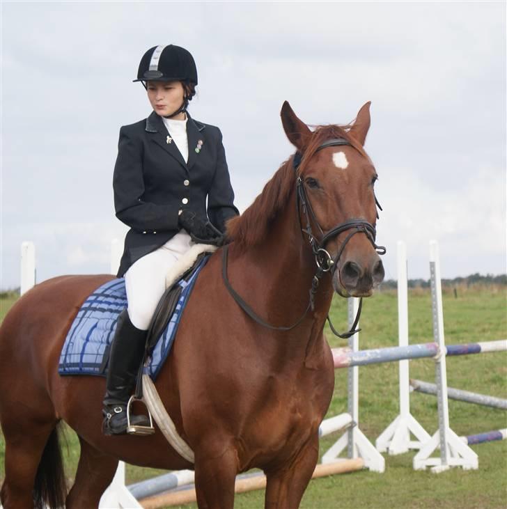 Oldenborg Alextho [Mors] - Alextho og jeg .. hm.. hahaha :p foto: Malene Greiffenberg billede 12