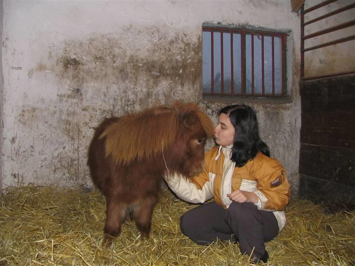 Anden særlig race Møllegårdens Kajser - Mig og "mor" nysser lige lidt billede 4