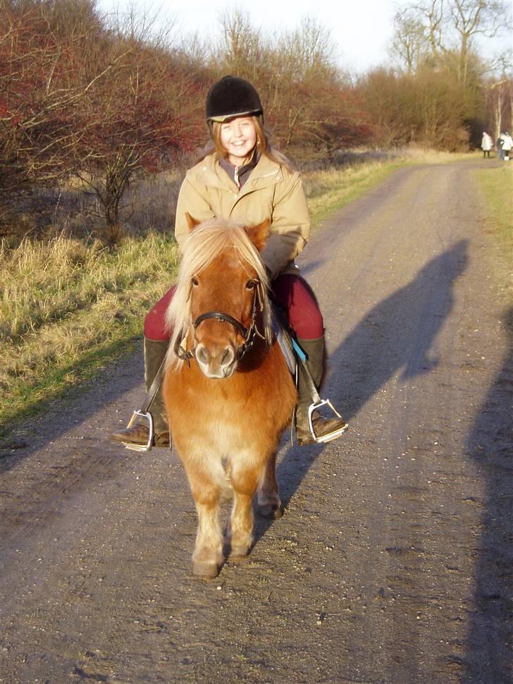 Shetlænder Basti (Gammel part) - Mig og Basti på vej i skoven :P . Det var et rigtigt godt vejr . :D <3. billede 15