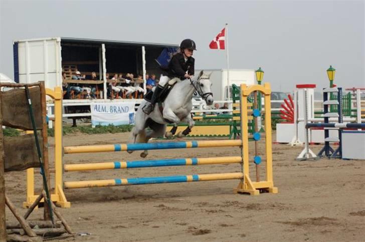 Anden særlig race Silva RIP - Mig og silva i MB til sjællands mesterskaberne billede 10