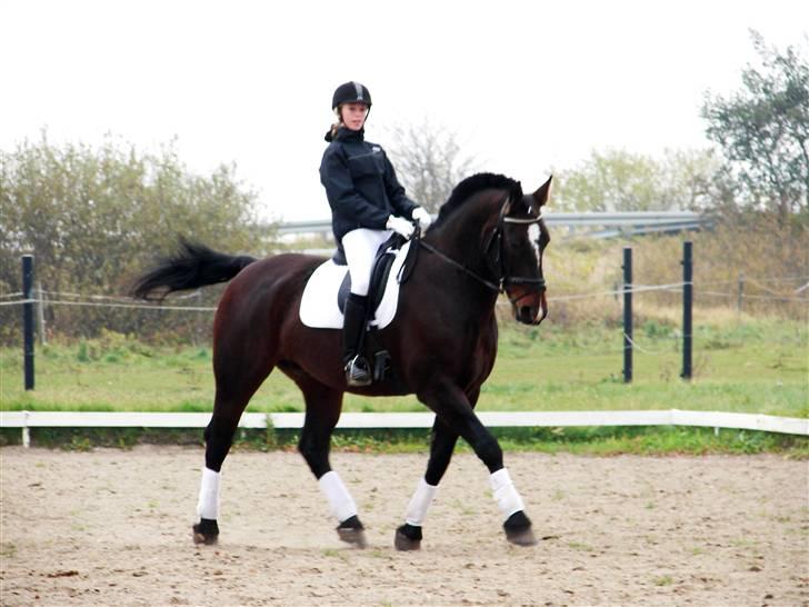 Oldenborg Passat - Cecilie Nielsen & Passat     Lidt opvarming :D billede 2