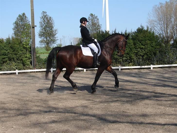 Oldenborg Passat - Cecilie Nielsen & Passat i aktion billede 4