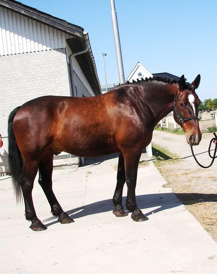 Oldenborg Passat - Cecilie Nielsen & Passat ved sq ikk lige hvad jeg laver:P billede 5