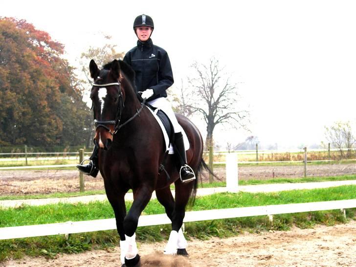 Oldenborg Passat - Cecilie Nielsen & Passat Syntes selv det er rigtig godt det billede:D billede 6