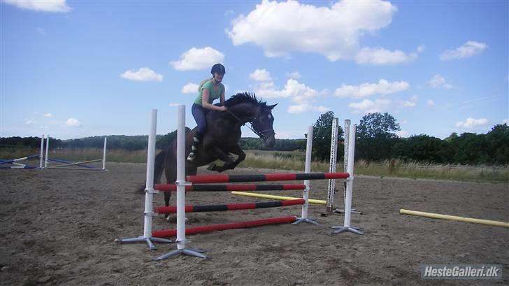 Oldenborg Valentino - Skønt at komme ud i det gode sommer vejr :) (omkring 90 cm) billede 7