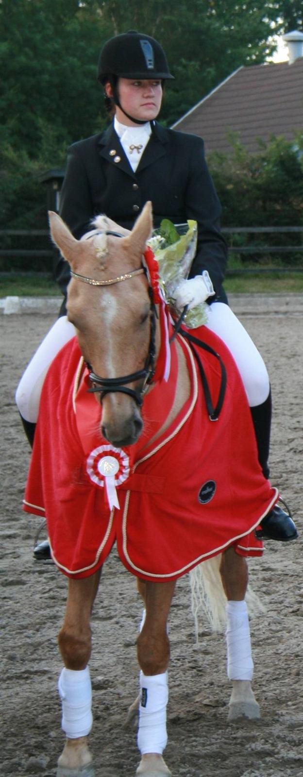 Tysk Sportspony Aladin  - mig og aladin(: diskrikt mestre for hold diskrikt 3 i 2008(: red 65 % i gennemsnit(: billede 16