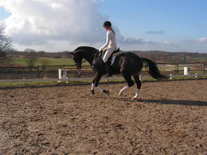 Oldenborg Valentino - Galop, galop :) billede 12