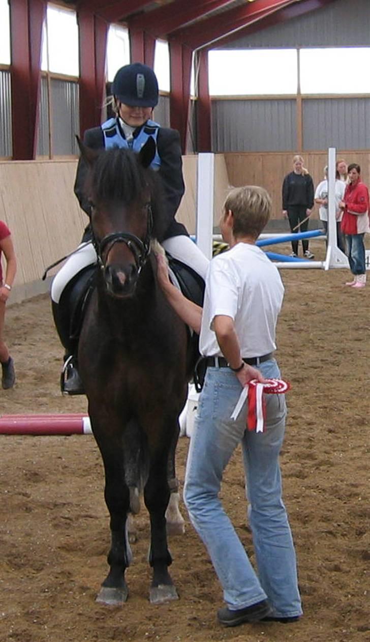 New Forest Flintdales Elvis - Elvis og mig som vandt sammen med vores hold til holdmesterskab på Mors  billede 8