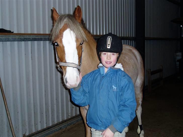 Welsh Pony (sec B) Bastiaan - vi er mega cool på den seje sprinigbanen og vi er mega hurtige<3<3<3<3 billede 3