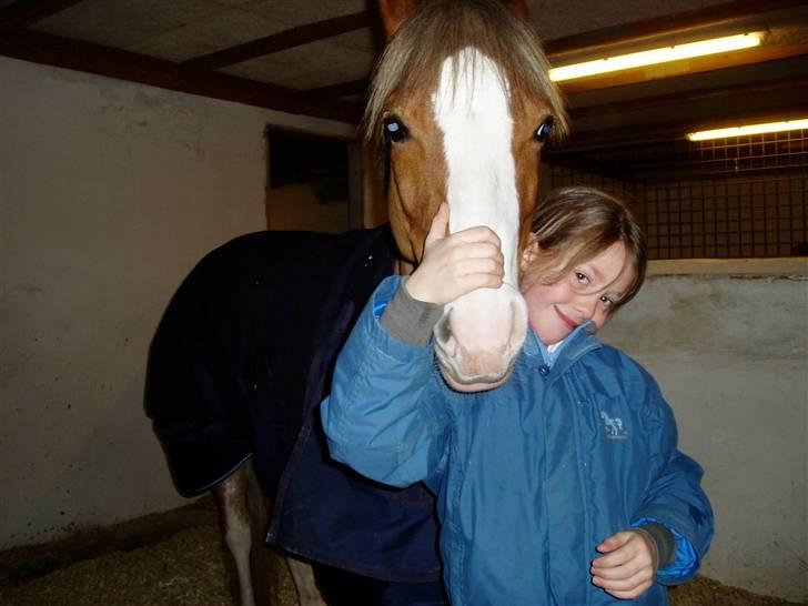 Welsh Pony (sec B) Bastiaan - Passer vi ikke godt sammen?<3<3<3<3<3<3 billede 10