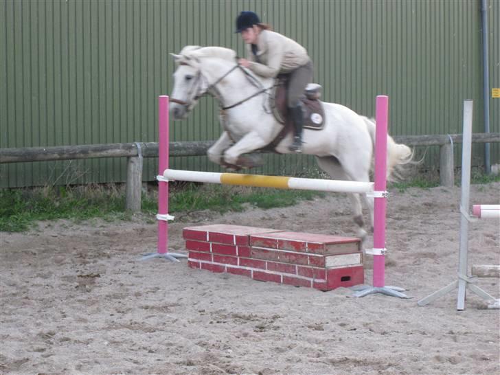 Connemara Lucky strike - . træning (; billede 13