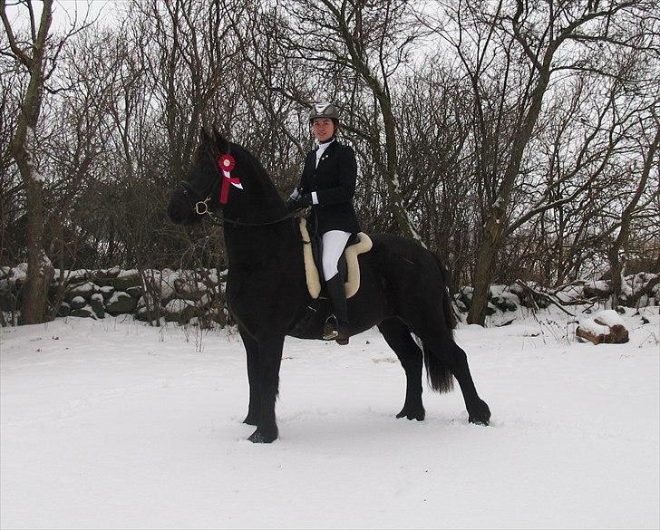 Anden særlig race Mokka Safir - Vandt LC3 til 67,92 % :) billede 4