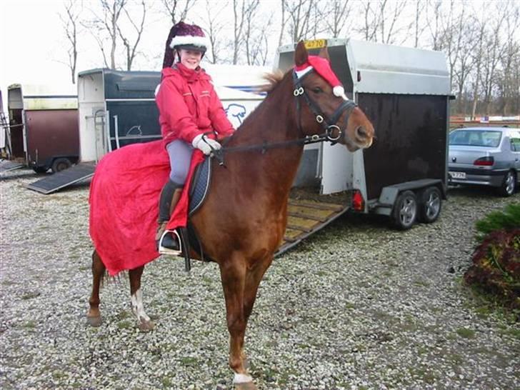 Anden særlig race Cassiopia (rider ikk mer) - Juleridning afsted Cassiopia. billede 7