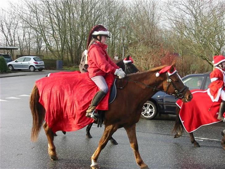Anden særlig race Cassiopia (rider ikk mer) - uhh! hun strækker sin hals.=) billede 8