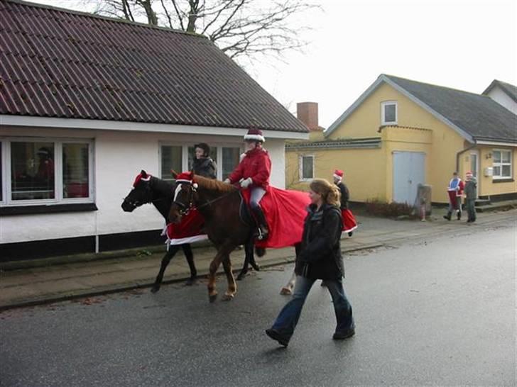 Anden særlig race Cassiopia (rider ikk mer) billede 9
