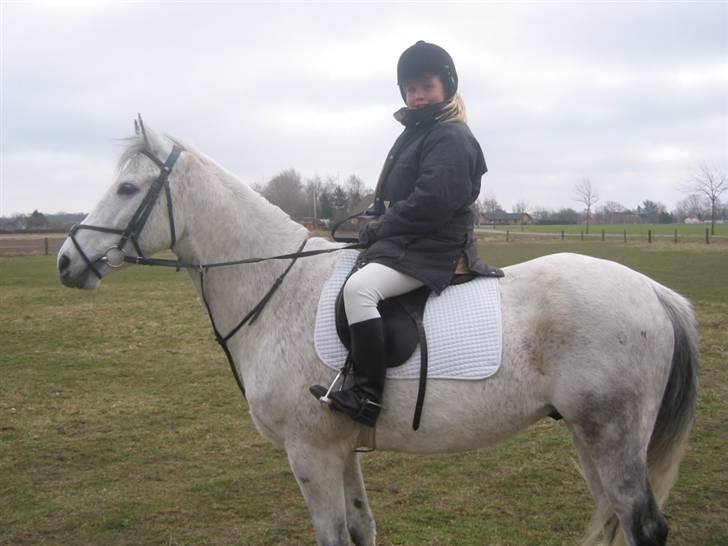 Anden særlig race Triton billede 3