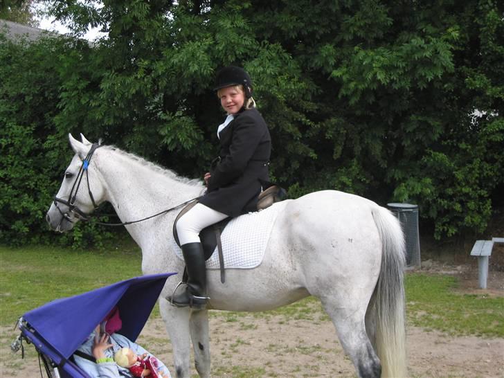 Anden særlig race Triton billede 4