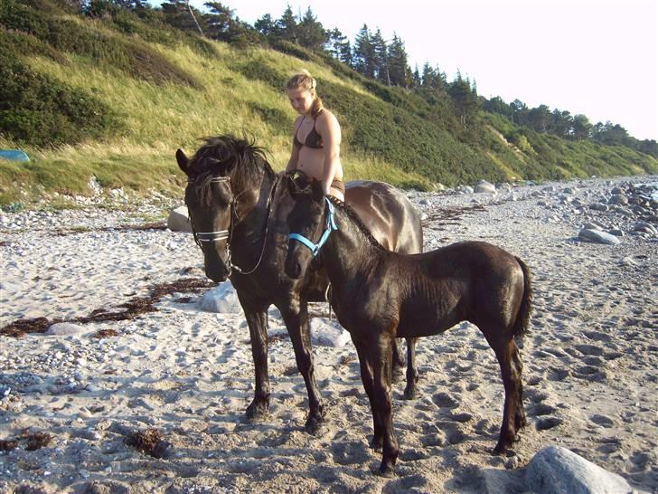 Anden særlig race *Jacques Nobest* SOLGT: ( - sommer 2007. miiq Düchess and Jaques billede 8