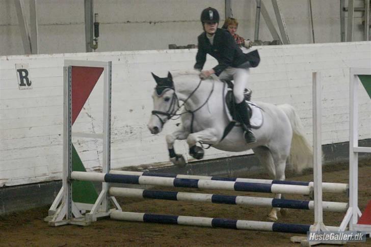 Irsk Sportspony Idom Aadahls Quickstep - Quick & Jeg i TJR. LC pony. Springene var langt fra max-højde, så det ligner mere en LD.  billede 18