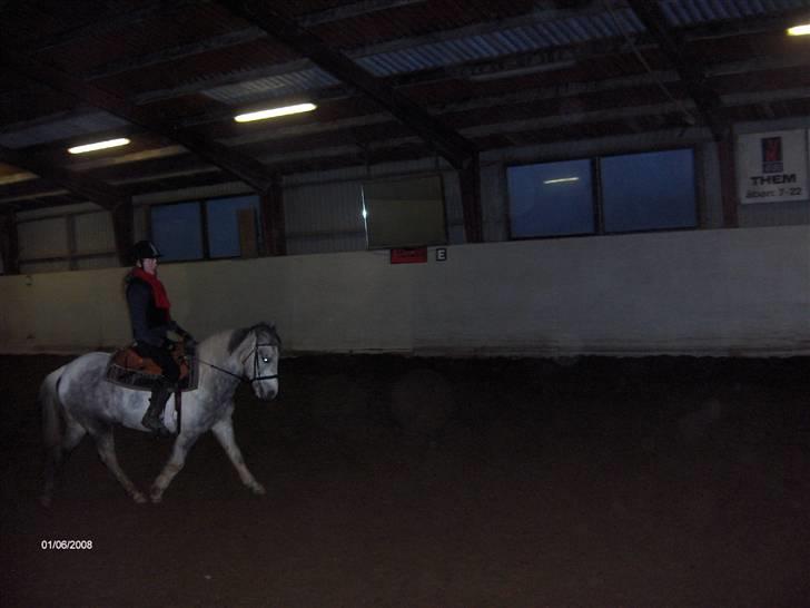 Anden særlig race Topper(Gammel pasning) billede 10