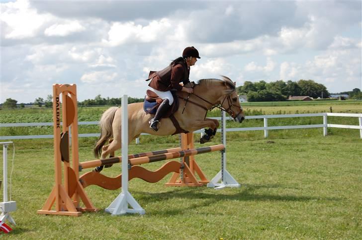 Anden særlig race Mille - B-pony - SOLGT ;/ - Smukke dukken Lb i Tobøl (: billede 3