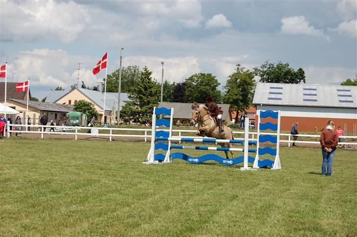 Anden særlig race Mille - B-pony - SOLGT ;/ - Mille og Mig i Lb eller La i tobøl foto : Simone :) billede 5