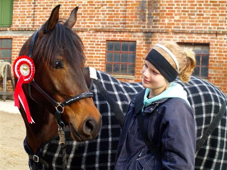 Anden særlig race Madeleine - solgt. - Stævne i drlr. 1 plads. billede 17