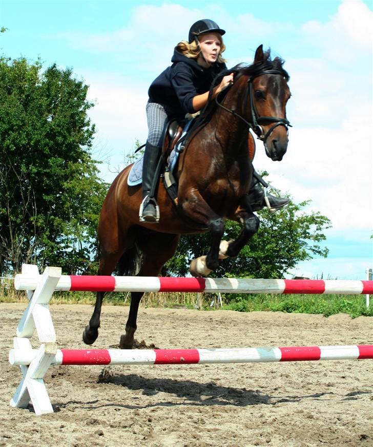 Anden særlig race Madeleine - solgt. - Smukke skat (: billede 18