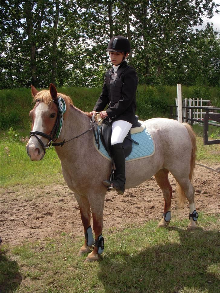 Anden særlig race Mario - efter stævne i skanderborg (; <3  billede 4