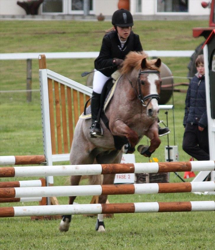Anden særlig race Mario - LB på Mors :D Han var flyvende.  billede 5
