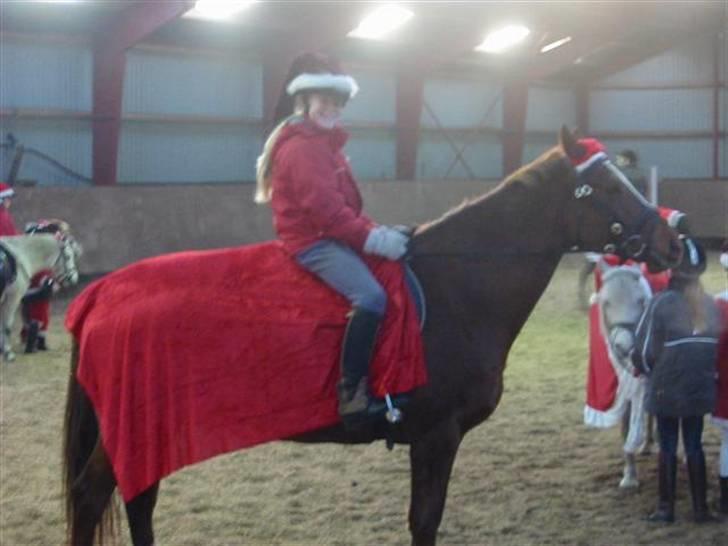 Anden særlig race Cassiopia (rider ikk mer) billede 13