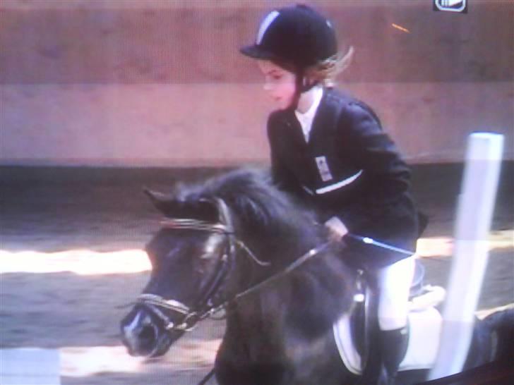 Dartmoor Beauty billede 18